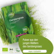Eine Packung gse.organic.supplements Gerstengras Pulver (Bio) liegt auf einer weißen Oberfläche mit grünem Pulver und frischem Gras. Auf den Etiketten steht, dass es biologisch, vegan und laktosefrei ist. Deutsche Textnotizen nachhaltige Kultivierung aus jungen Getreidegräsern.