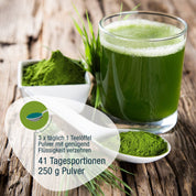 Ein Glas grüner Saft, ein weißer Löffel und eine Schüssel mit Gerstengras Pulver (Bio) von gse.organic.supplements liegen auf Holz mit frischem Gras – das Bio-Pulver stammt aus nachhaltigem Anbau. Deutsche Dosierungshinweise und Portionsgrößen sind enthalten.