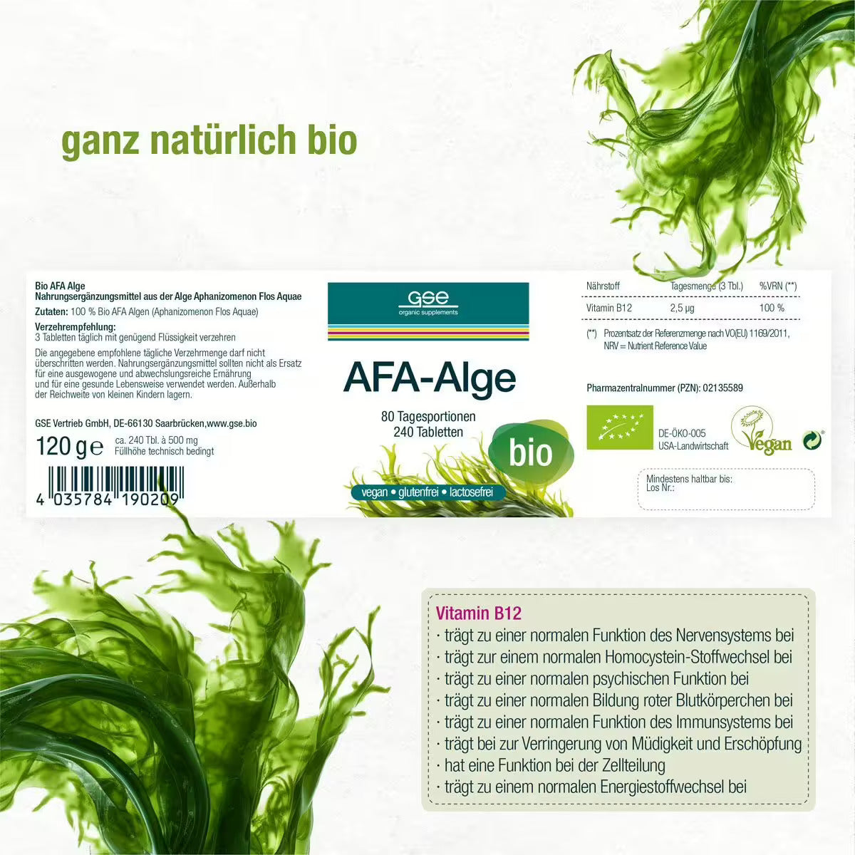 Algue AFA (bio)