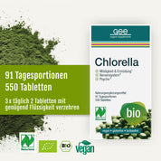 Packung „Naturland Bio Chlorella“ (Tabletten) von gse.organic.supplements mit der Angabe von 91 Portionen, 550 Tabletten und einer empfohlenen Tagesdosis von 3 Tabletten. Mit Symbolen für vegane, glutenfreie, laktosefreie und Bio-Zertifizierung. Reich an Vitamin B12 zur Unterstützung Ihres täglichen Nährstoffbedarfs.