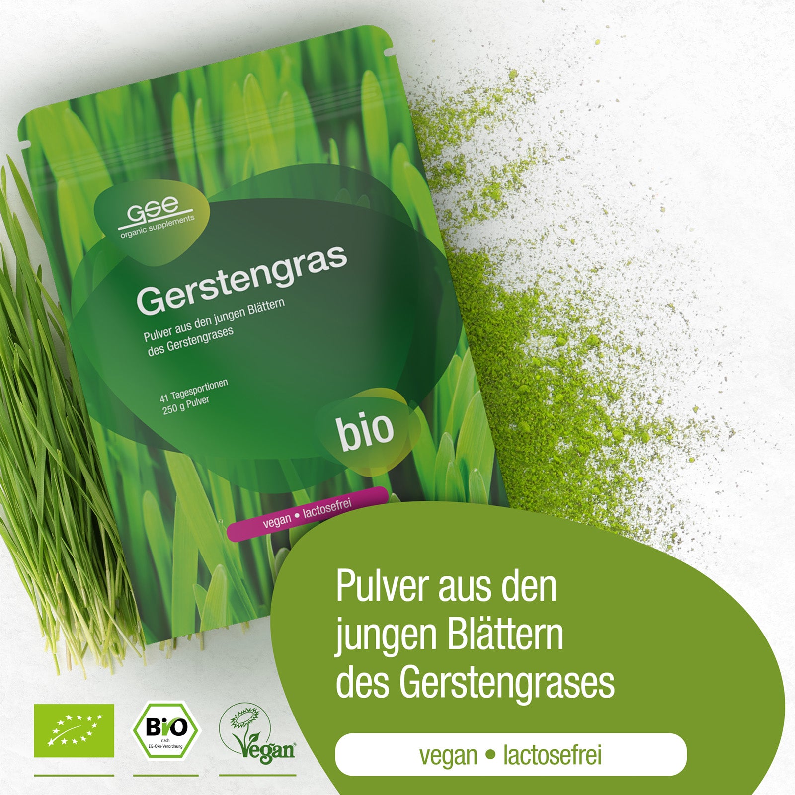 Gerstengras Pulver (Bio)