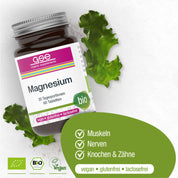 Magnesium (Bio)