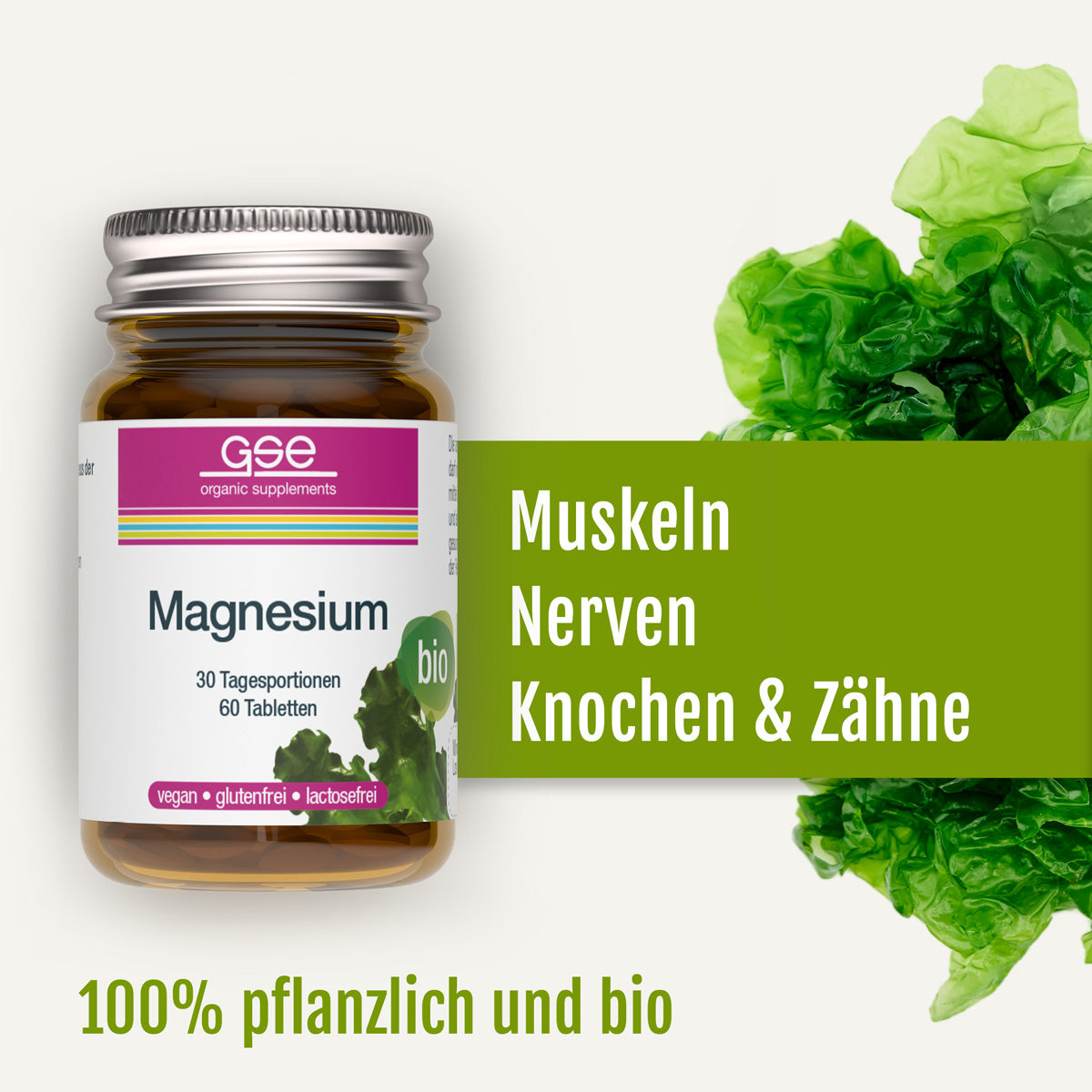 Auf dem Bild ist eine Glasflasche mit „gse.organic.supplements Magnesium (Bio)“-Tabletten vor dem Hintergrund grüner Blätter zu sehen. Der deutsche Text hebt die Vorteile für Muskeln, Nerven, Knochen und Zähne hervor und weist darauf hin, dass das Produkt zu 100 % pflanzlich und biologisch ist. Diese Bio-Magnesium-Ergänzung enthält Magnesium aus Grünalgen und bietet eine natürliche Quelle dieses essenziellen Minerals.