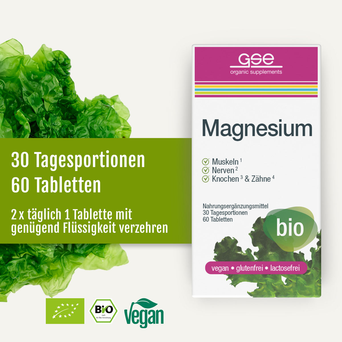 Eine Packung „gse.organic.supplements Magnesium (Bio)“ mit einem Motiv aus grünen Blättern, auf der „30 Tagesportionen“ und „60 Tabletten“ angegeben sind und die als biologisch, vegan, glutenfrei und laktosefrei gekennzeichnet ist – ideal, um Ihren Magnesiumbedarf auf natürliche Weise mit natürlichem Magnesium zu decken.