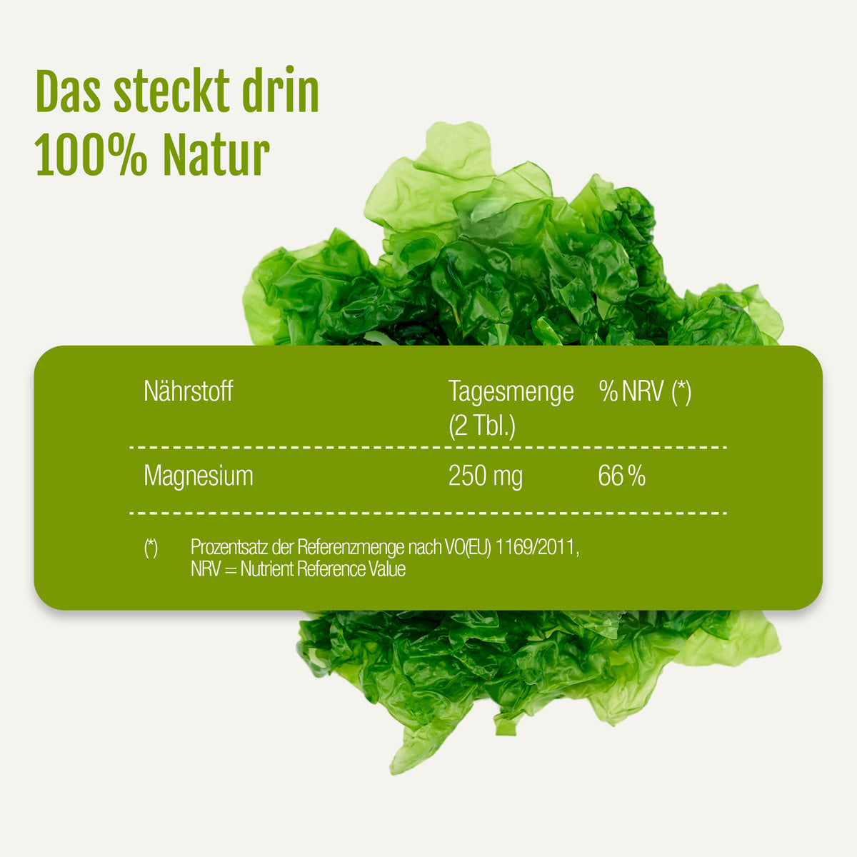Magnesium (Bio) von gse.organic.supplements: Grüne Algen mit einer Tabelle, aus der der Magnesiumgehalt hervorgeht – 250 mg pro 2 Esslöffel, was 66 % des Referenzwerts für Nährstoffe entspricht. Auf dem Etikett steht: „Das steckt drin: 100 % Natur“. Von Natur aus reich an Magnesium zur Unterstützung von Muskeln und Knochen – Ihr Bio-Magnesium aus der Natur.
