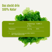 Magnesium (Bio) von gse.organic.supplements: Grüne Algen mit einer Tabelle, aus der der Magnesiumgehalt hervorgeht – 250 mg pro 2 Esslöffel, was 66 % des Referenzwerts für Nährstoffe entspricht. Auf dem Etikett steht: „Das steckt drin: 100 % Natur“. Von Natur aus reich an Magnesium zur Unterstützung von Muskeln und Knochen – Ihr Bio-Magnesium aus der Natur.