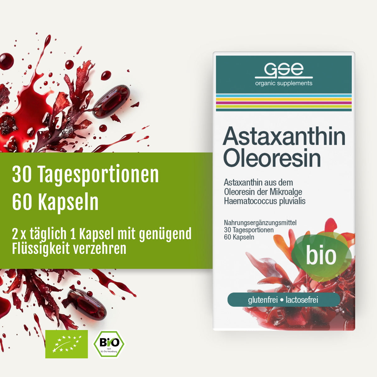 Eine Packung „gse.organic.supplements Astaxanthin-Oleoresin-Kapseln (Bio)“ steht vor roten Farbtupfern, die auf die Blutregenalge verweisen. Grüner Text hebt folgende Angaben hervor: 30 Tagesportionen, 60 Kapseln, Bio, glutenfrei und laktosefrei.