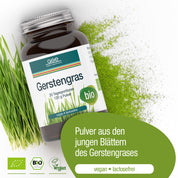 Gerstengras Pulver (Bio)