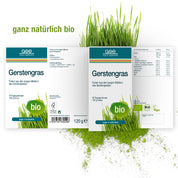 Gerstengras Pulver (Bio)