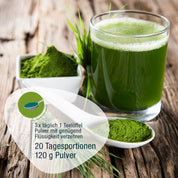 Gerstengras Pulver (Bio)