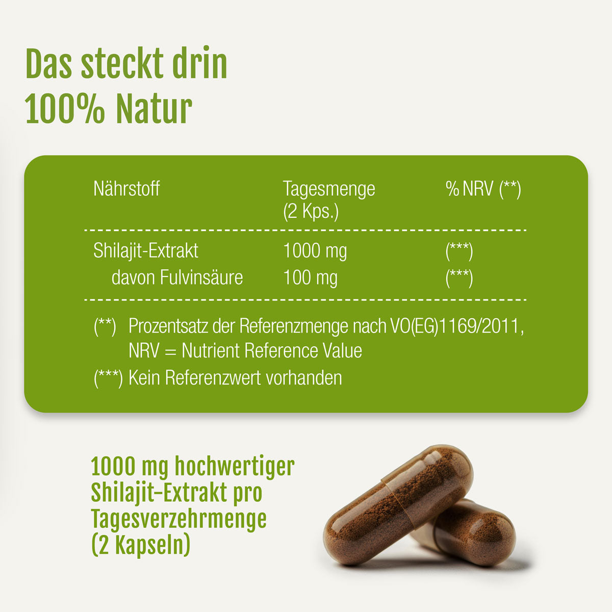 Die Tabelle zeigt die tägliche Dosierung (2 Kapseln) von gse.organic.supplements Shilajit (1000 mg, mit 100 mg Fulvosäure, ohne NRV) auf weißem Hintergrund. Unten, Text und zwei braune Shilajit-Kapseln ruhen auf einer hellen Fläche.