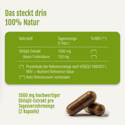 Die Tabelle zeigt die tägliche Dosierung (2 Kapseln) von gse.organic.supplements Shilajit (1000 mg, mit 100 mg Fulvosäure, ohne NRV) auf weißem Hintergrund. Unten, Text und zwei braune Shilajit-Kapseln ruhen auf einer hellen Fläche.