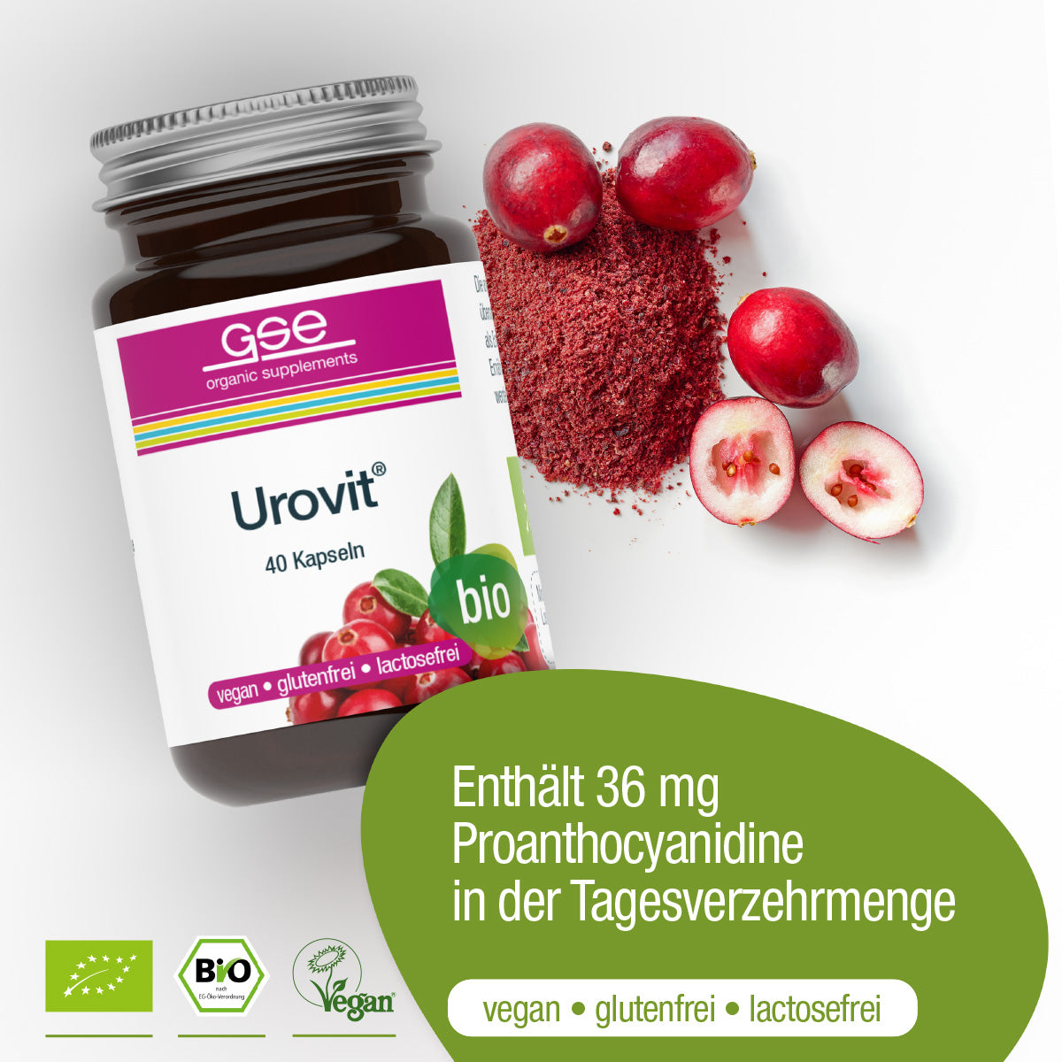 Eine Flasche gse.organic.supplements Urovit®-Cranberry Kapseln (Bio) steht neben Cranberries und Cranberrypulver. Die veganen, gluten- und laktosefreien Bio-Kapseln liefern 36 mg Proanthocyanidin pro Tagesdosis.