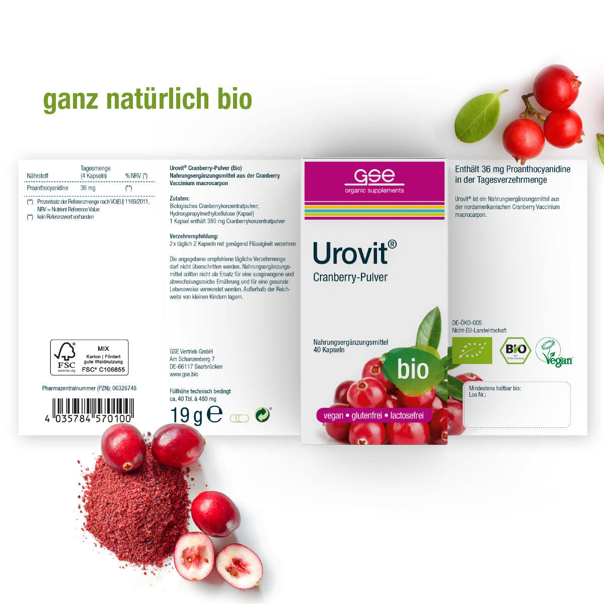 Die Urovit®-Cranberry Kapseln (Bio) von gse.organic.supplements zeichnen sich durch eine Verpackung mit Cranberries, Cranberry-Pulver und grünen Zertifizierungen aus und unterstreichen ihren Bio-Supplement-Status mit proanthocyanidinreichem Extrakt, vegan und glutenfrei.