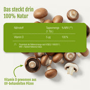Die obere Hälfte zeigt ganze und geschnittene braune Pilze auf weißem Grund. In der Mitte befindet sich ein grüner Kasten mit der Aufschrift: Eine Vitamin D Compact (Bio) Tablette von gse.organic.supplements liefert 5 µg pflanzliches Bio-Vitamin D aus UV-behandelten Pilzen.