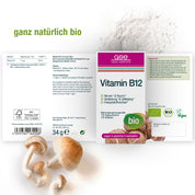 Eine Schachtel gse.organic.supplements Vitamin B12 Compact (Bio) mit deutschen Etiketten, hier mit Pulver und Shiitake-Pilzen. Die vegane Verpackung unterstreicht die glutenfreie, laktosefreie und biologische Qualität.