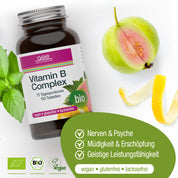 Eine Flasche gse.organic.supplements Vitamin B-Komplex (Bio) Tabletten, vegan, glutenfrei, laktosefrei, mit einer Feige, Basilikumblättern, einer Pille und Icons für Nerven, Energie & geistige Leistungsfähigkeit als pflanzliches Nahrungsergänzungsmittel.