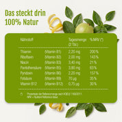 Tabelle mit dem Vitamingehalt pro Tagesportion des Vitamin-B-Komplexes (Bio) von gse.organic.supplements, einschließlich pflanzlicher B-Vitamine wie Thiamin, Riboflavin, Niacin, Pantothensäure, Pyridoxin, Folsäure und Vitamin B12; die Tabelle ist kunstvoll von frischen Zitrusfrüchten und grünen Blättern umrahmt, was ihr eine natürliche Note verleiht.