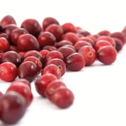 Urovit®-Cranberry Pulver