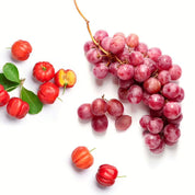 Vino C® - OPC (organic)
