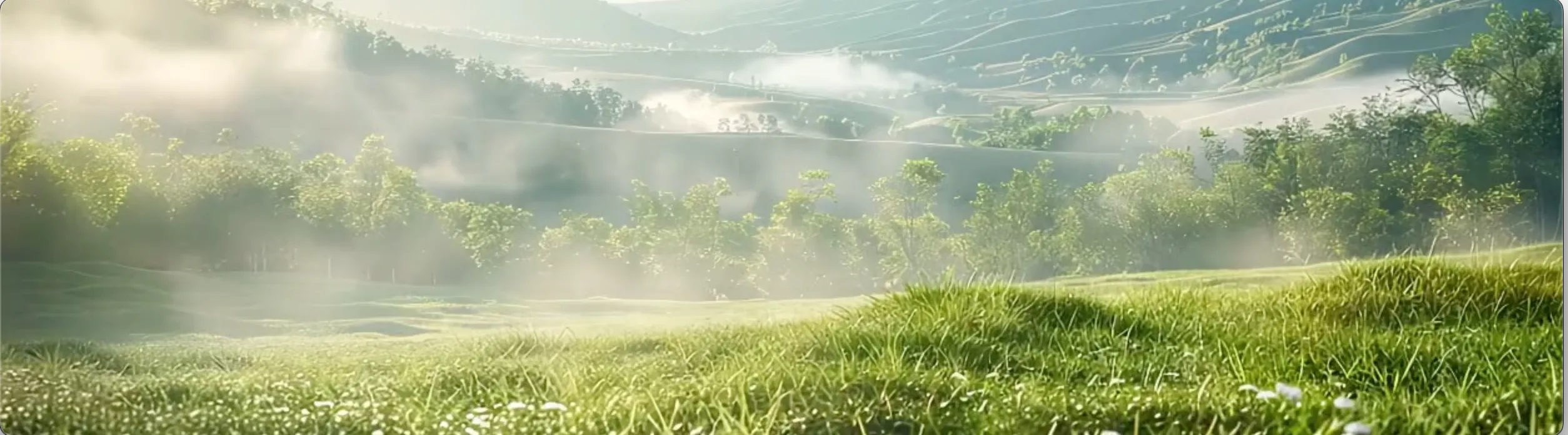 nature_1250x350_b822dab7-71cf-4db9-b7e7-82f102fdfdad.webp